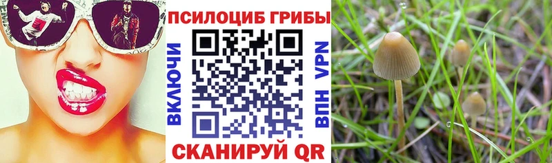 ссылка на мегу сайт  Назарово  маркетплейс наркотические препараты  дарнет шоп  Псилоцибиновые грибы MAGIC MUSHROOMS 